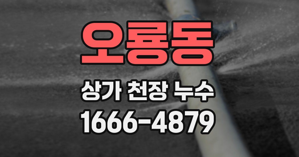 오룡동 상가 천장 누수