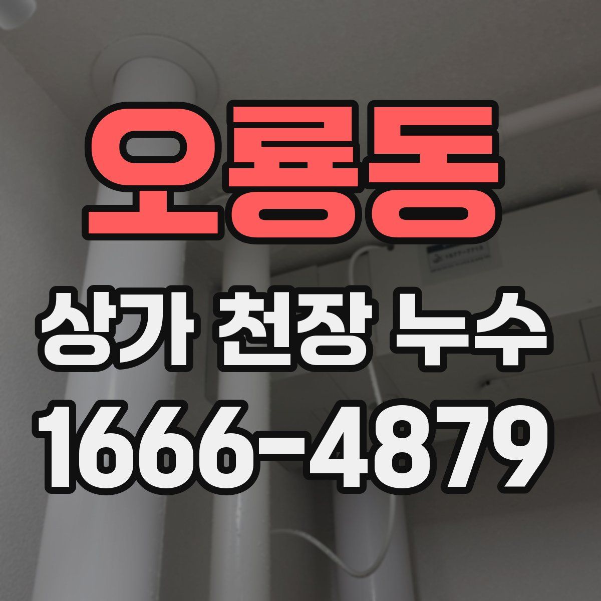 오룡동 상가 천장 누수