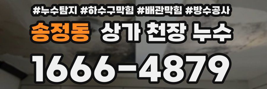 송정동 상가 천장 누수