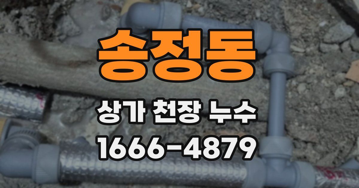 송정동 상가 천장 누수