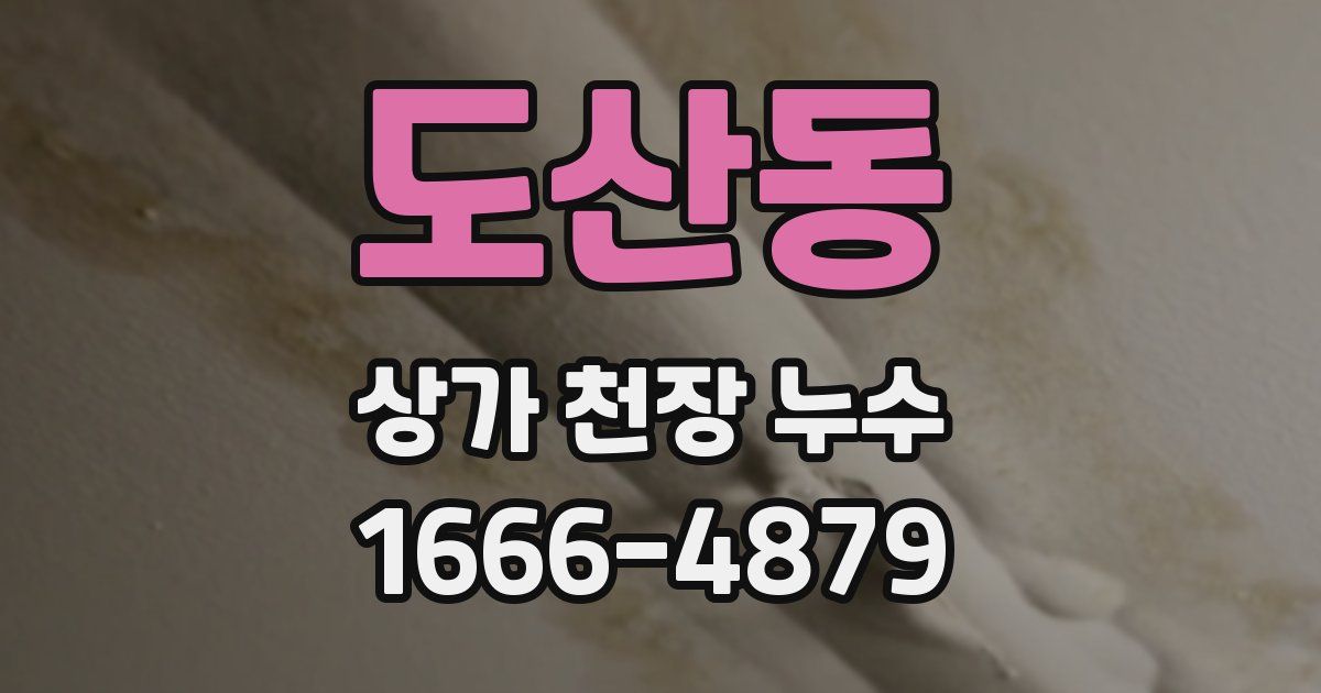 도산동 상가 천장 누수