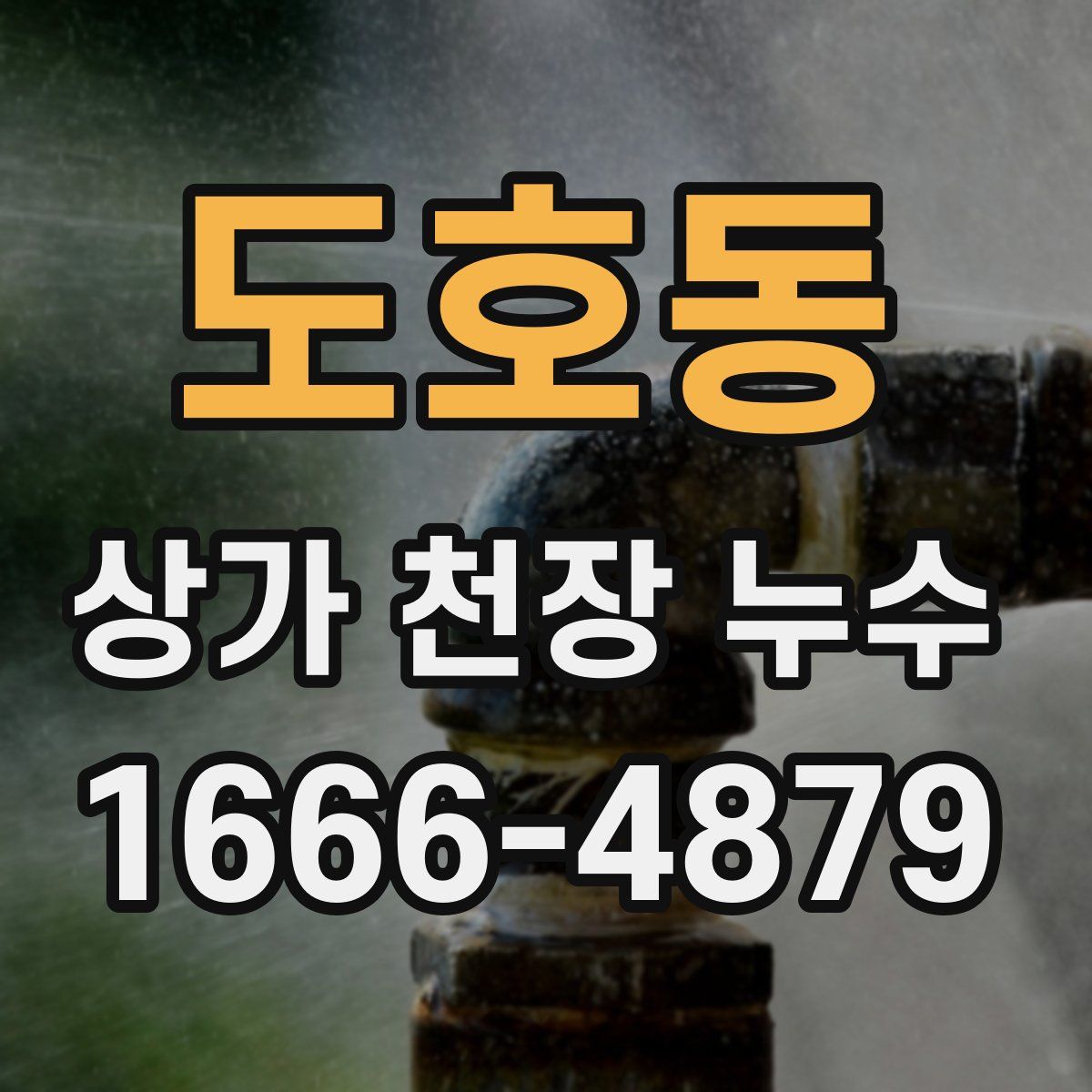 도호동 상가 천장 누수