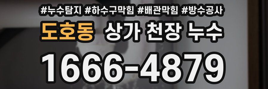 도호동 상가 천장 누수