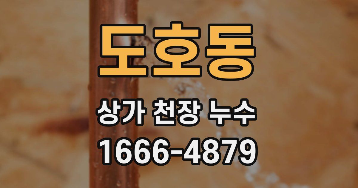 도호동 상가 천장 누수