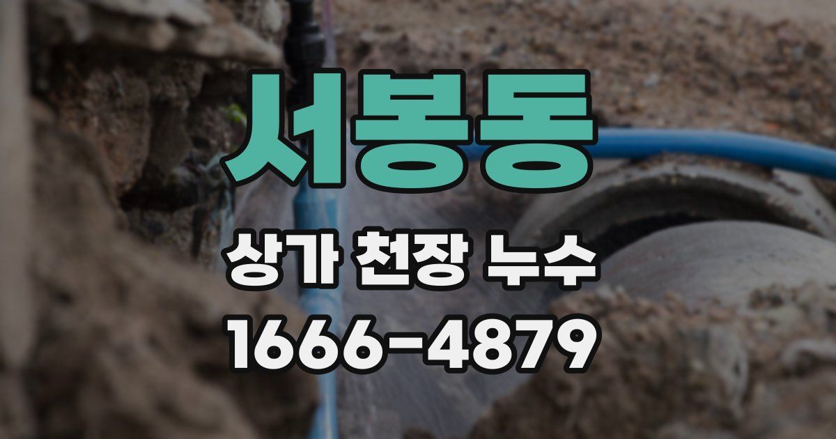 서봉동 상가 천장 누수