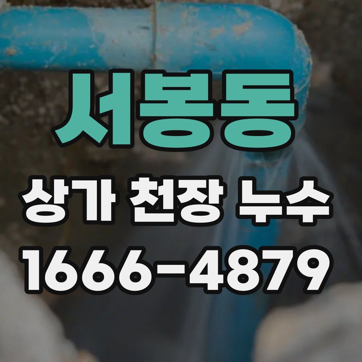 서봉동 상가 천장 누수