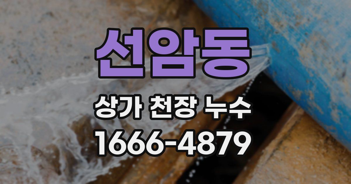 선암동 상가 천장 누수