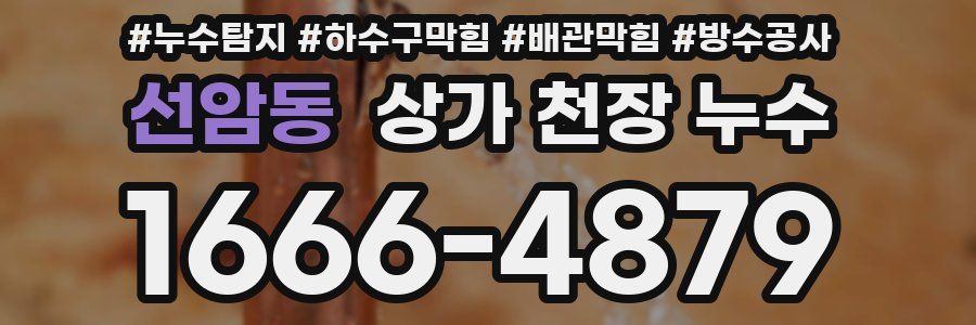선암동 상가 천장 누수