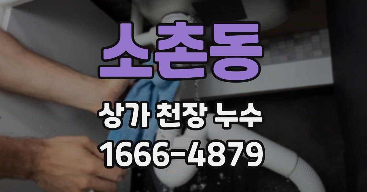 소촌동 상가 천장 누수