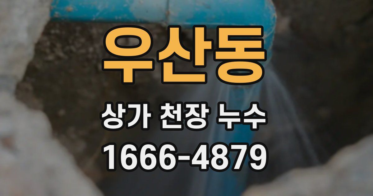 우산동 상가 천장 누수