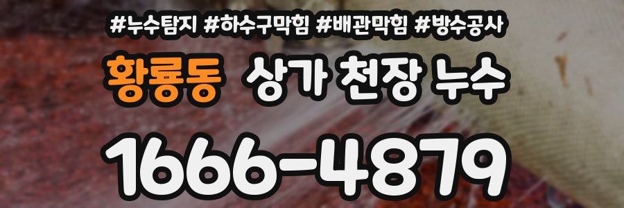황룡동 상가 천장 누수