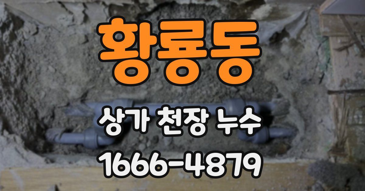 황룡동 상가 천장 누수