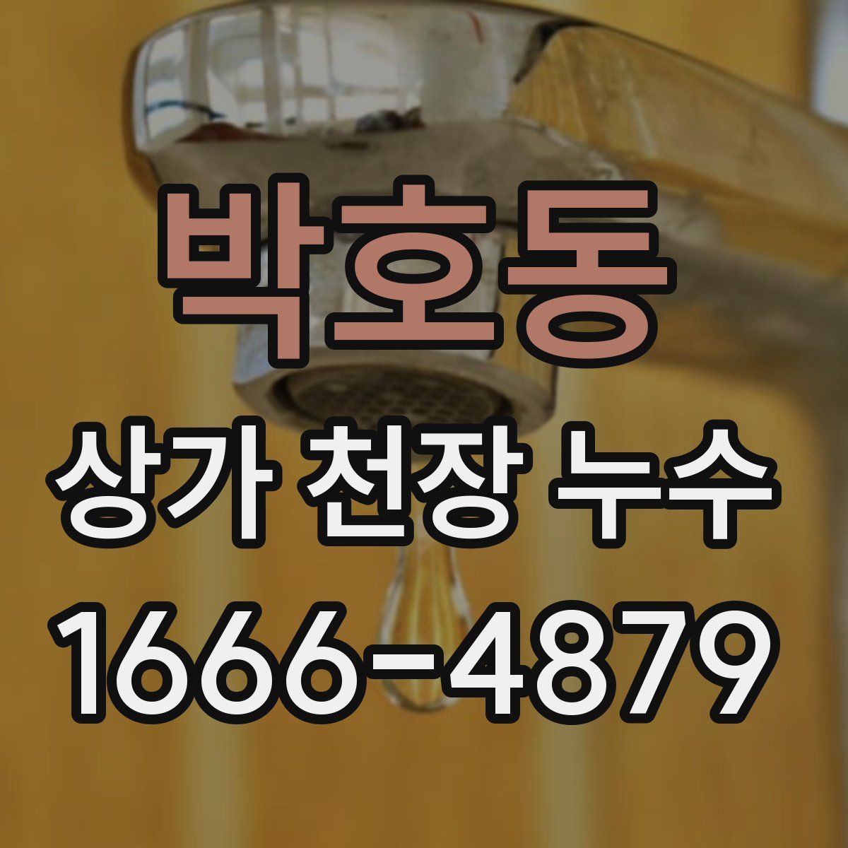 박호동 상가 천장 누수