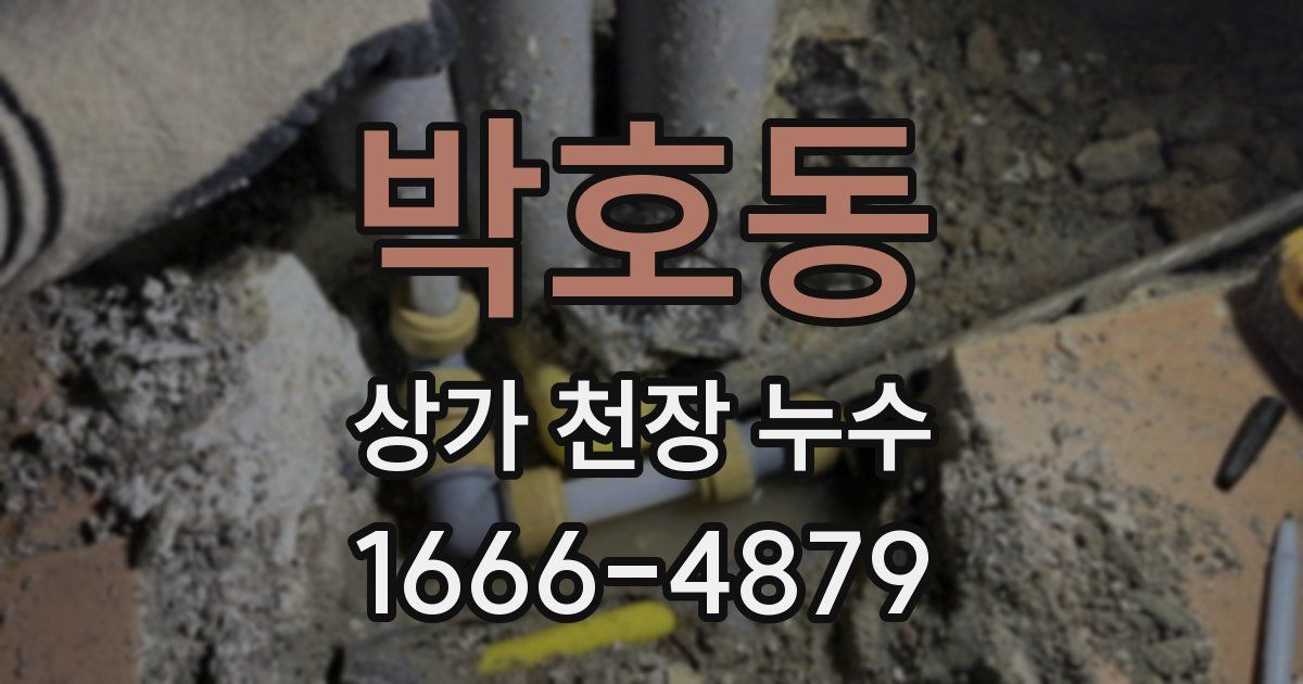 박호동 상가 천장 누수