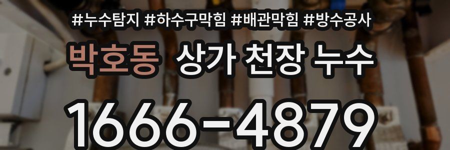 박호동 상가 천장 누수