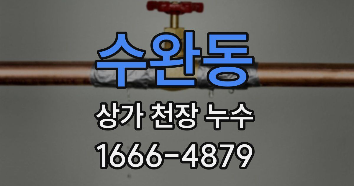 수완동 상가 천장 누수