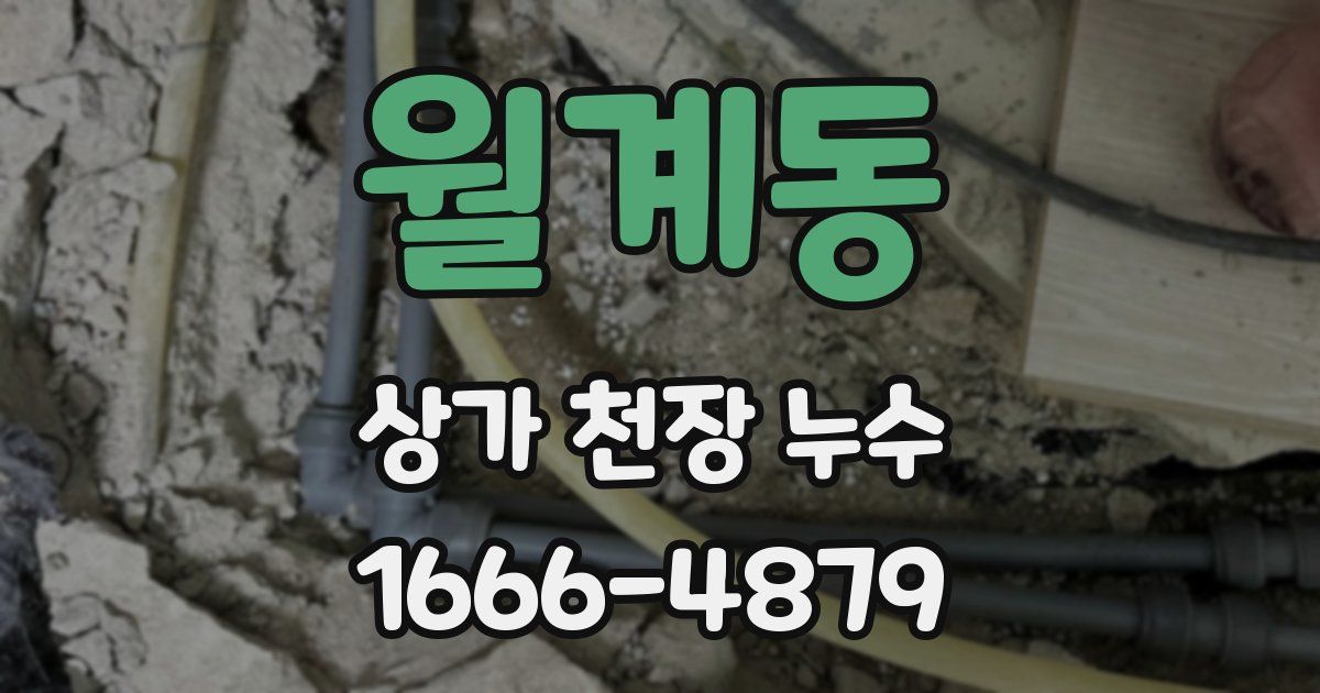 월계동 상가 천장 누수