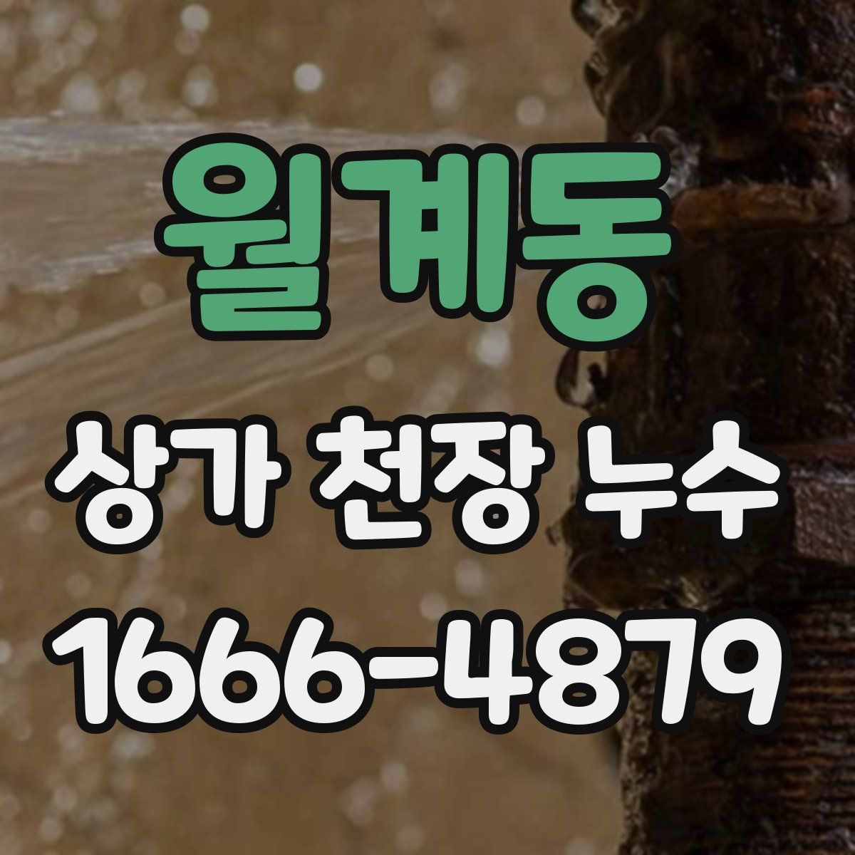 월계동 상가 천장 누수