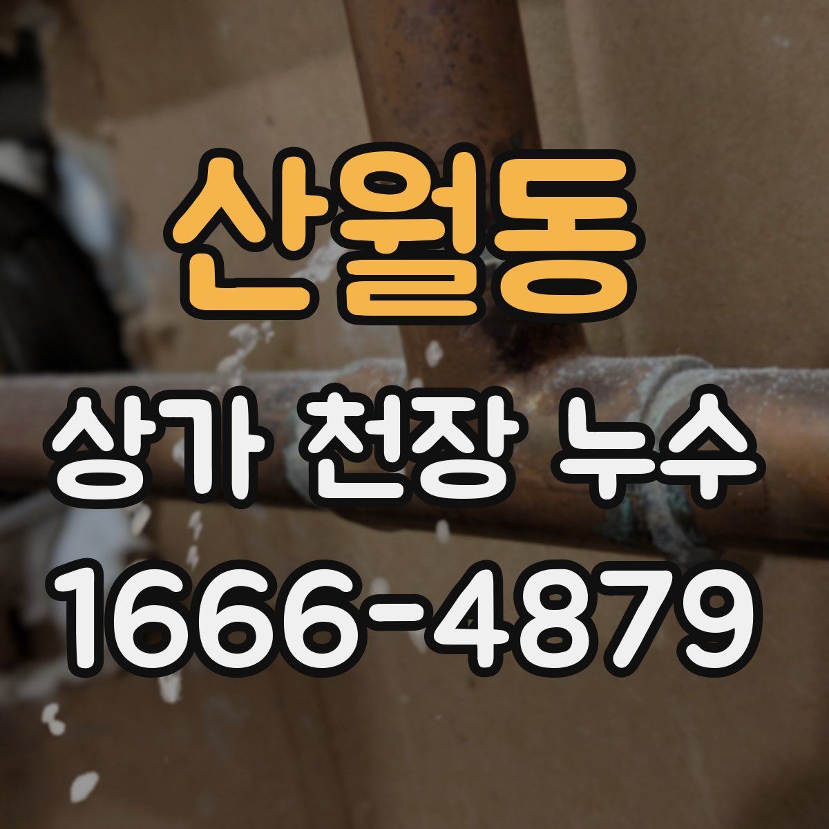 산월동 상가 천장 누수