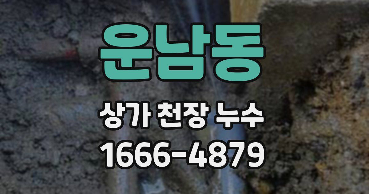 운남동 상가 천장 누수