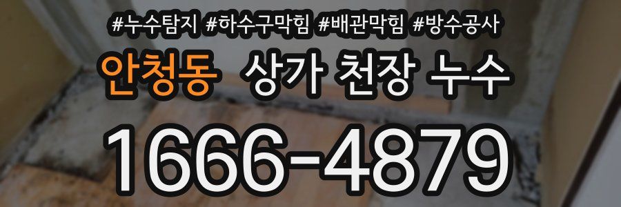 안청동 상가 천장 누수