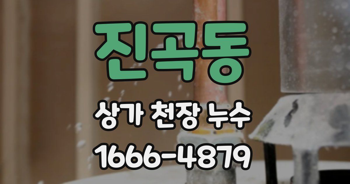 진곡동 상가 천장 누수