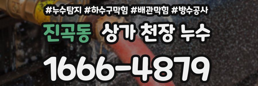진곡동 상가 천장 누수