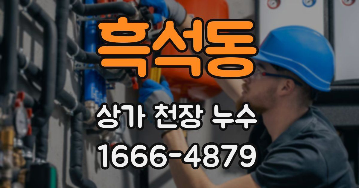 흑석동 상가 천장 누수