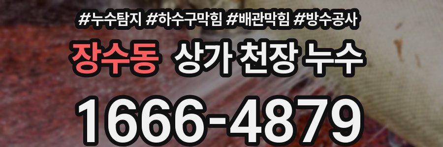 장수동 상가 천장 누수