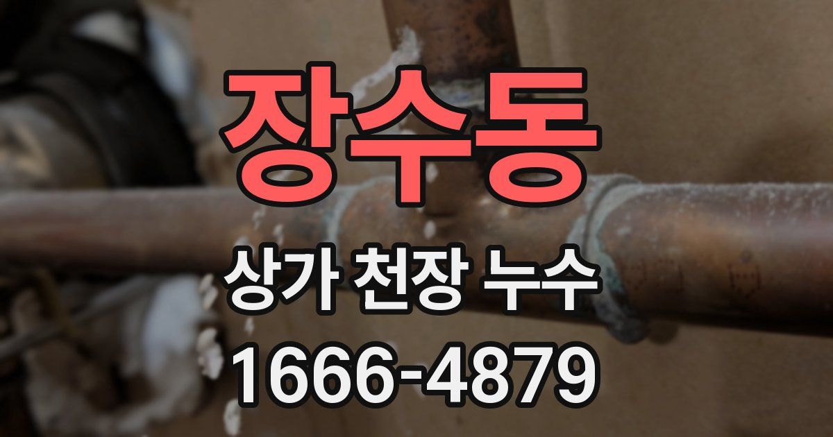 장수동 상가 천장 누수