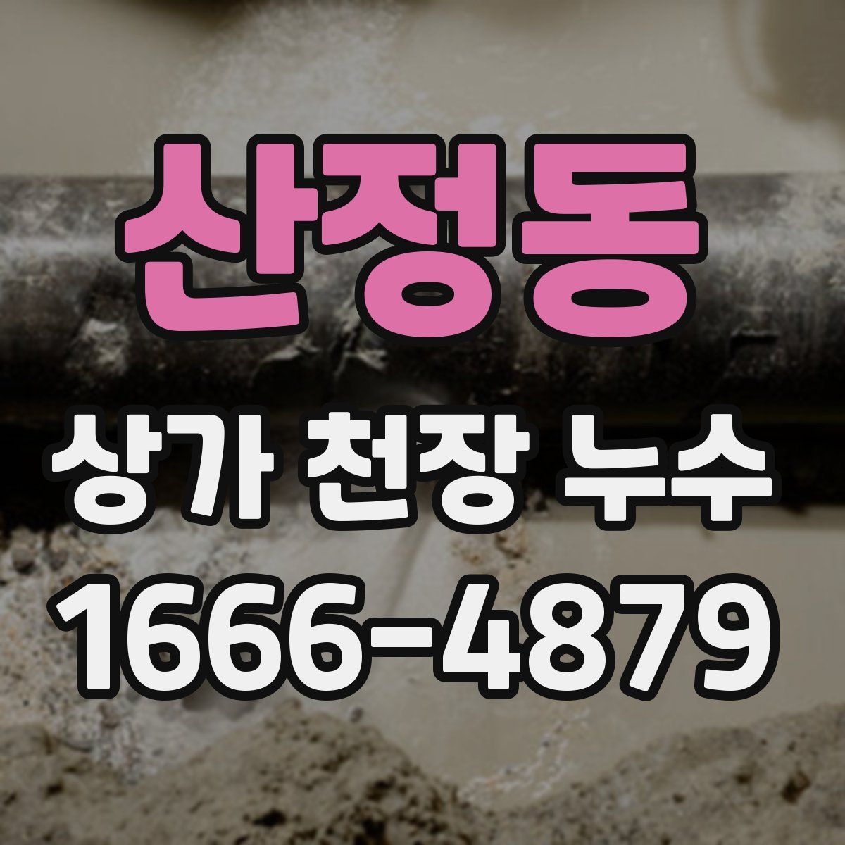 산정동 상가 천장 누수