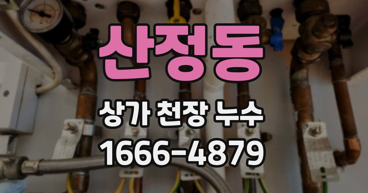산정동 상가 천장 누수