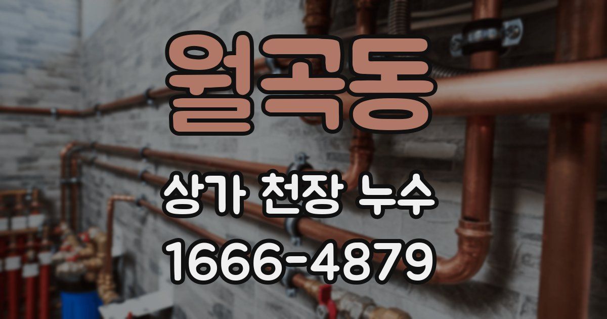 월곡동 상가 천장 누수