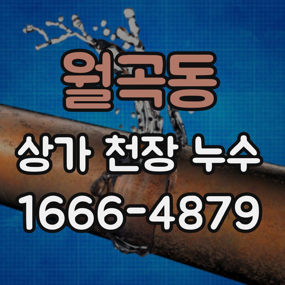 월곡동 상가 천장 누수