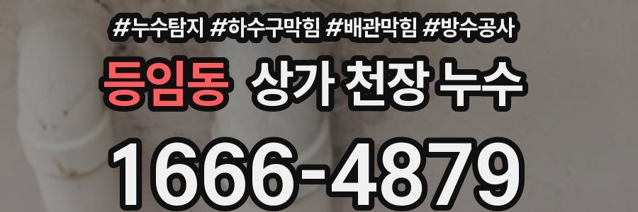 등임동 상가 천장 누수