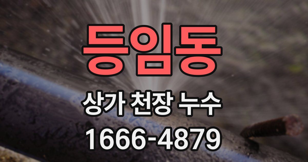 등임동 상가 천장 누수