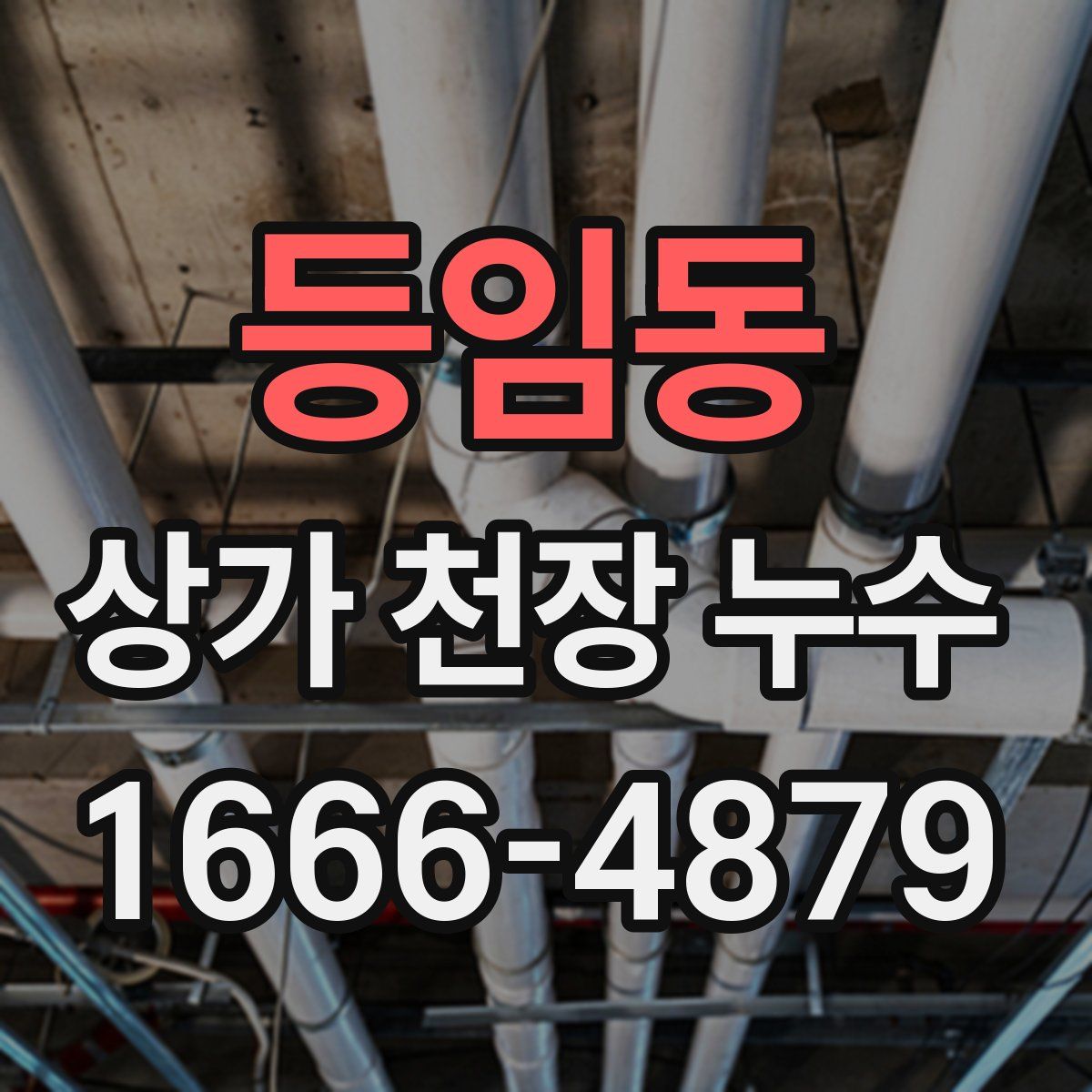 등임동 상가 천장 누수
