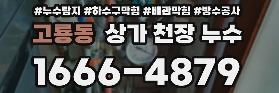 고룡동 상가 천장 누수