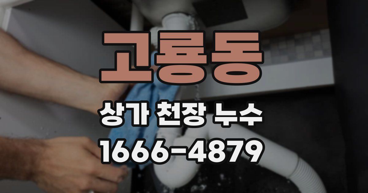 고룡동 상가 천장 누수