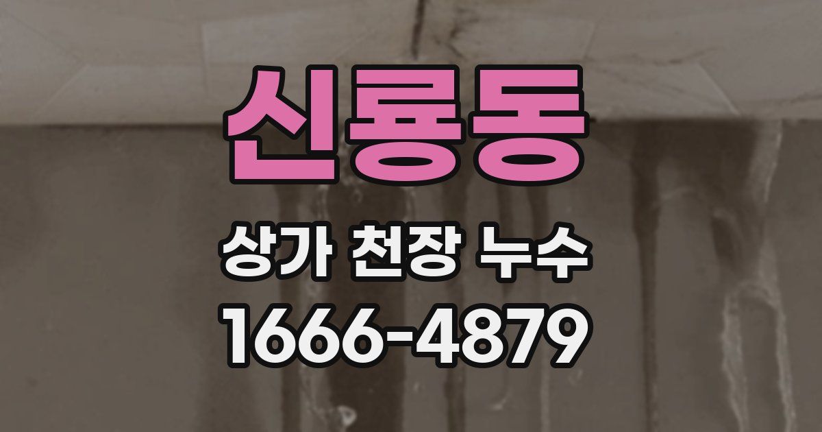 신룡동 상가 천장 누수