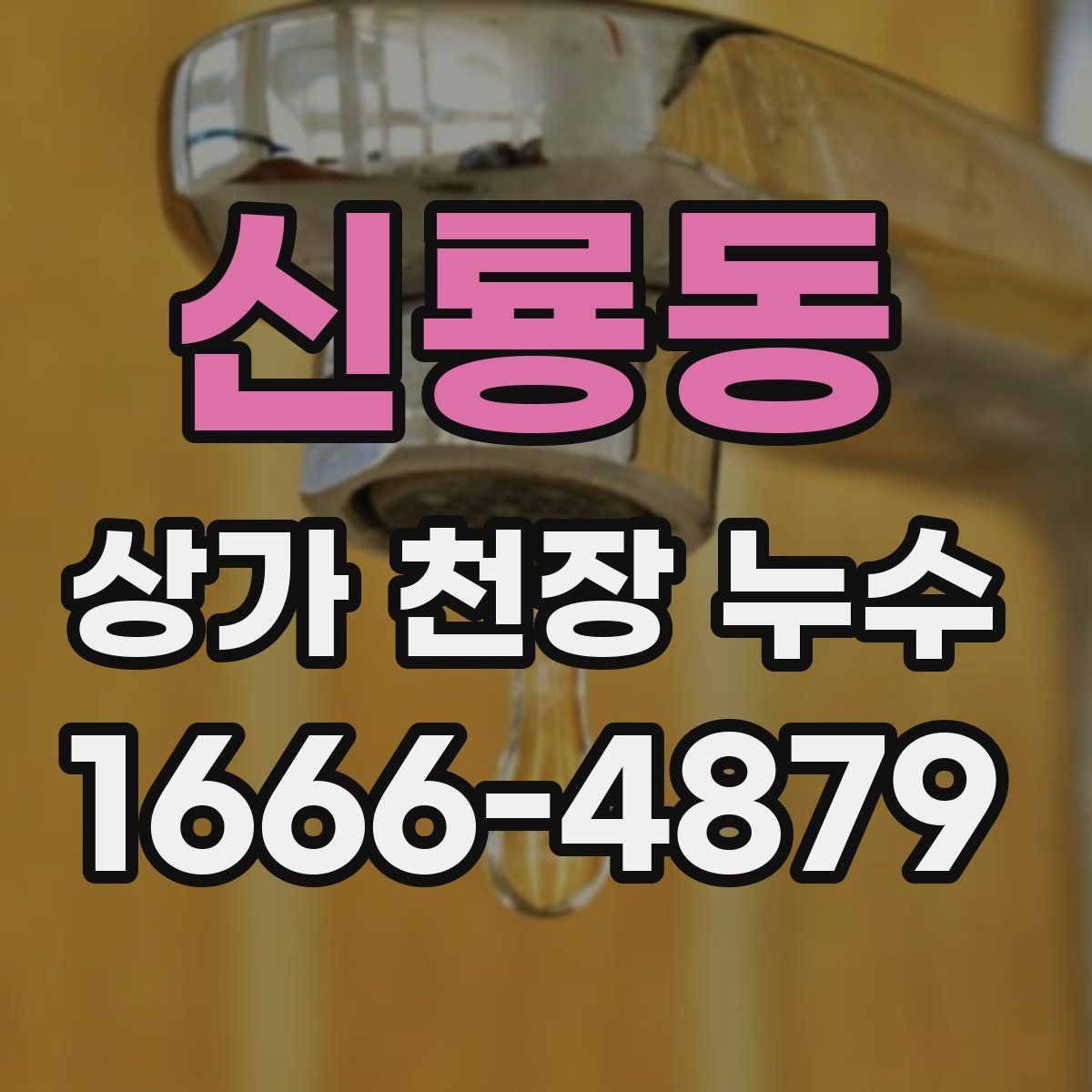 신룡동 상가 천장 누수