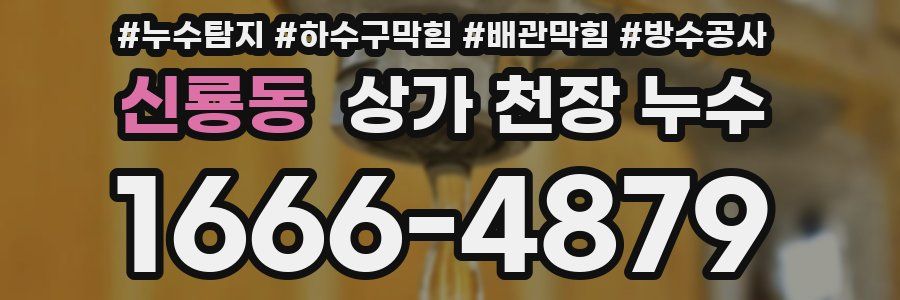 신룡동 상가 천장 누수