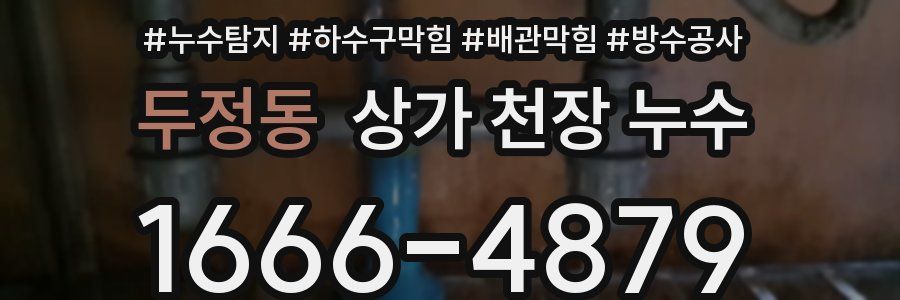 두정동 상가 천장 누수