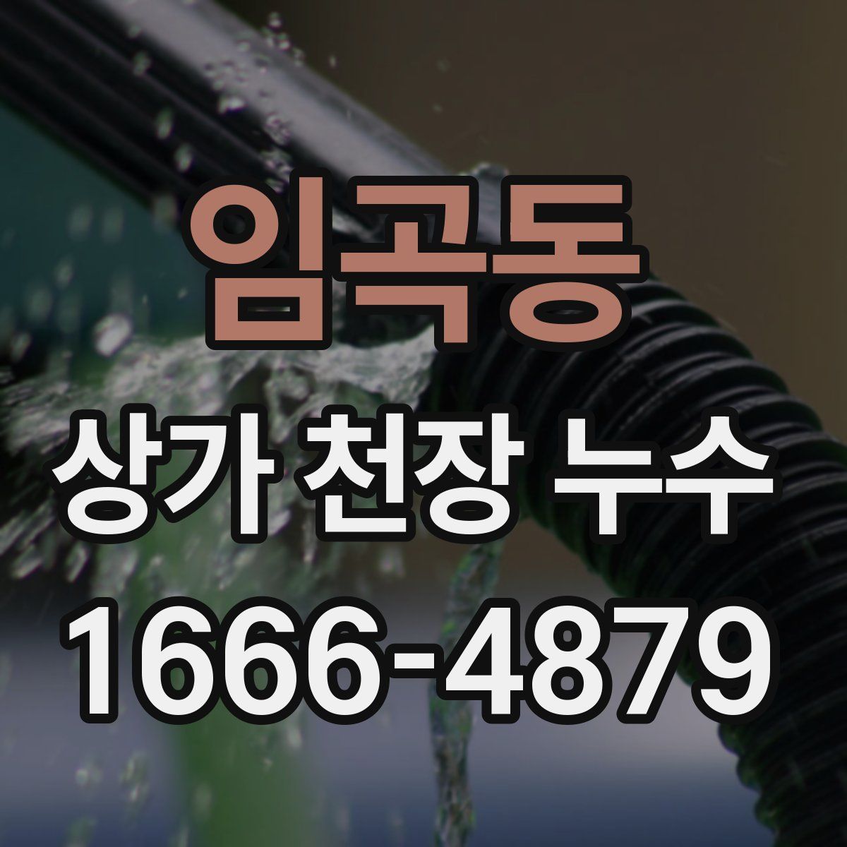 임곡동 상가 천장 누수