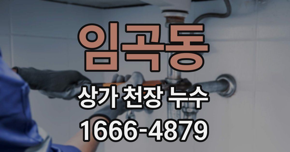 임곡동 상가 천장 누수