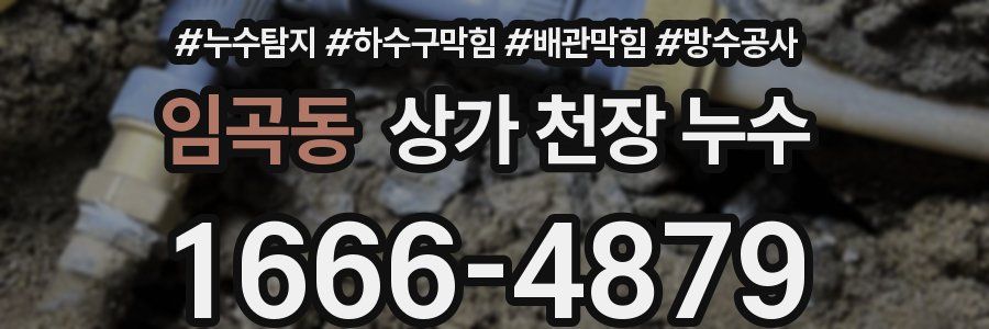 임곡동 상가 천장 누수