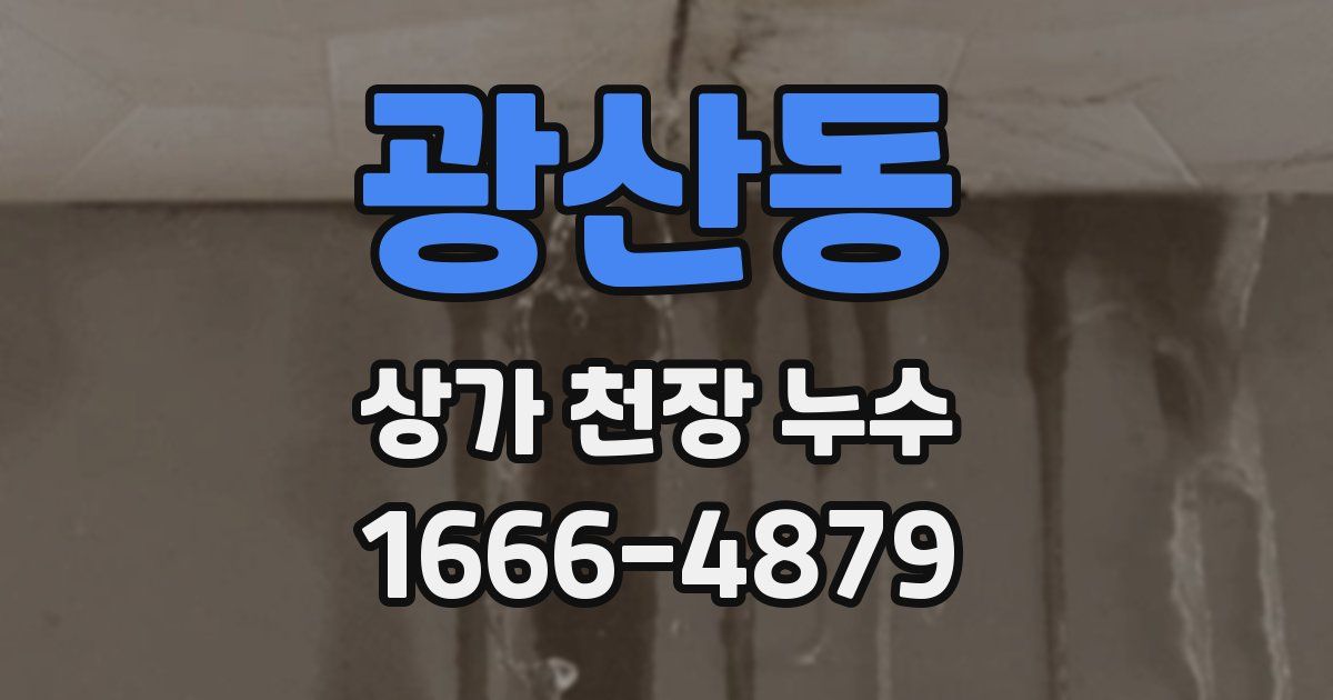 광산동 상가 천장 누수