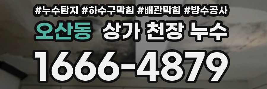 오산동 상가 천장 누수