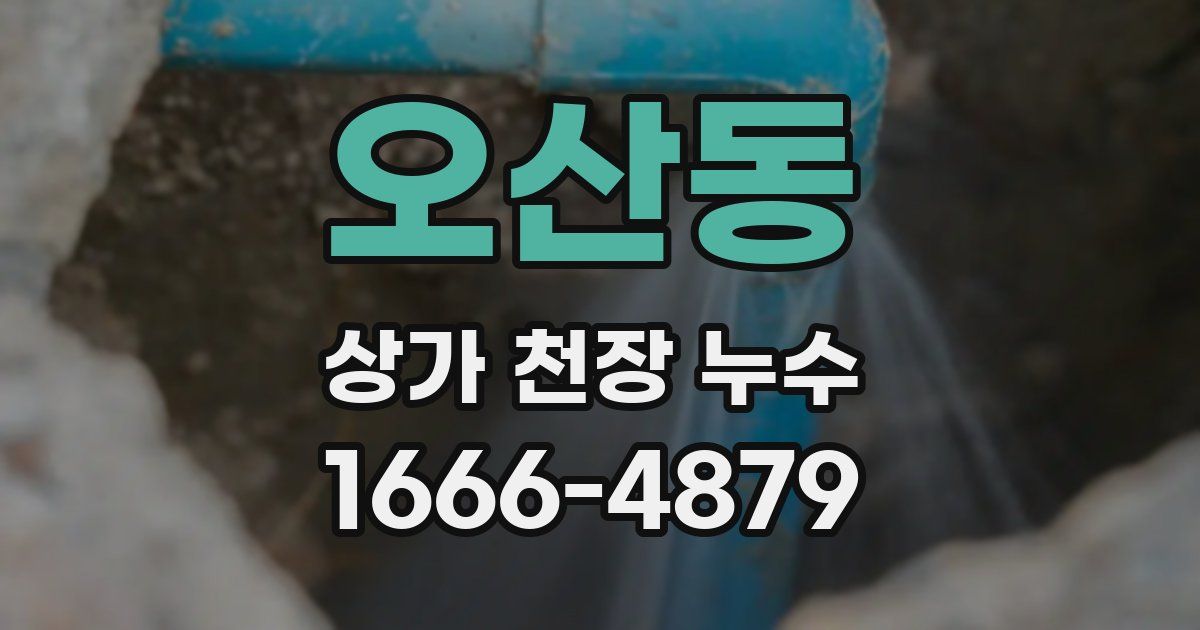 오산동 상가 천장 누수