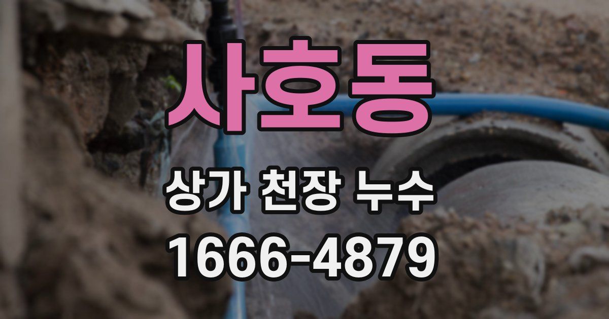 사호동 상가 천장 누수